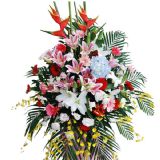 ʮʻٵ