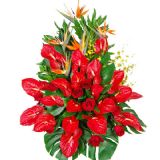 ʮʻٵ