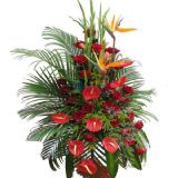 ʮʻٵ